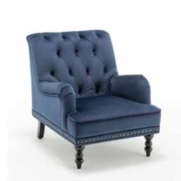 Darwin Velvet Accent Chair In Blue - thumbnail 9
