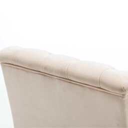 Darwin Velvet Accent Chair In Beige - thumbnail 7