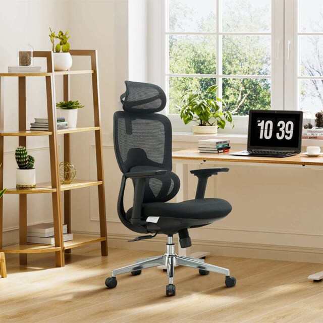 Premium Fabric Blend Ergonomic Office Chair Swivel Computer Task Chair with Headrest, Black