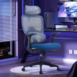 Premium Fabric Blend Ergonomic Office Chair with Headrest Option, With Headrest / Black+Blue