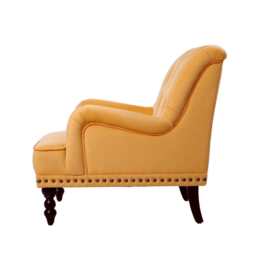 Darwin Velvet Accent Chair in Mustard - thumbnail 6