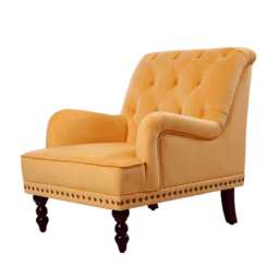 Darwin Velvet Accent Chair in Mustard - thumbnail 3
