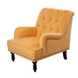 Darwin Velvet Accent Chair in Mustard - thumbnail 4