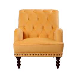 Darwin Velvet Accent Chair in Mustard - thumbnail 5