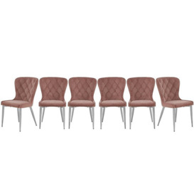 Donnie Set of 6 Chairs - Blush Velvet with Chrome Legs
