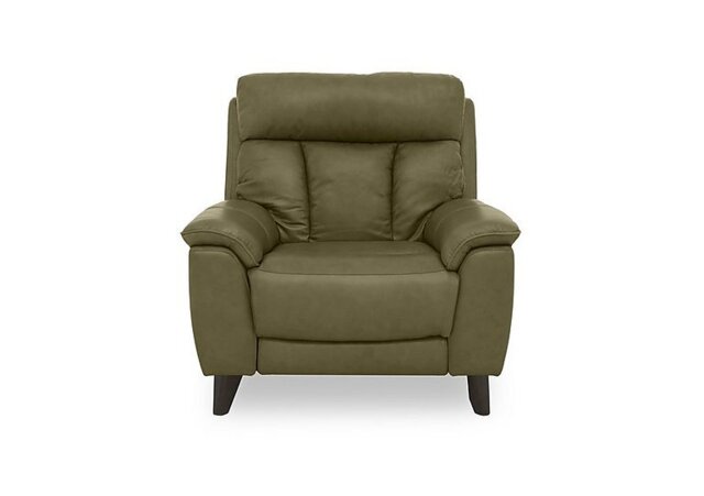 World of Leather - Dreamer Leather Power Recliner Chair with Power Headrest - Olive Green