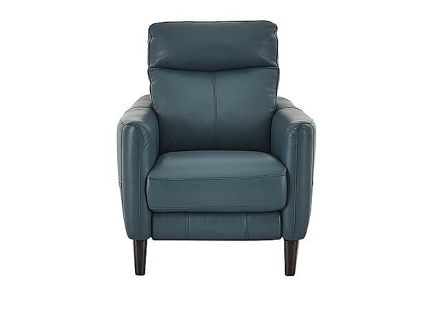 World of Leather - Compact Collection Petit NC Leather Armchair - NC Lake Green