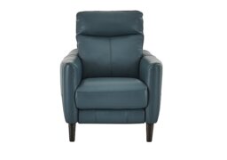 World of Leather - Compact Collection Petit NC Leather Armchair - NC Lake Green