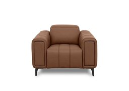 Elphaba Leather Chair with Storage Arms