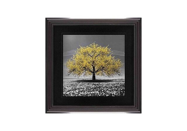 Yellow Cherry Tree 90x90 Framed Picture