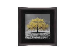 Yellow Cherry Tree 90x90 Framed Picture