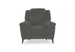 Panache Fabric Chair with Power Recliner - Dexter Moss