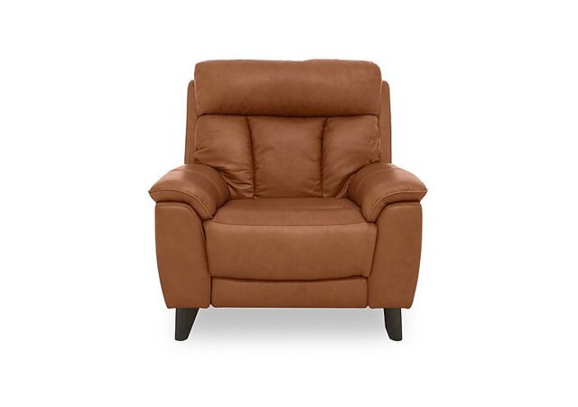 World of Leather - Dreamer Leather Power Recliner Armchair