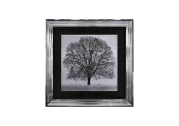 Winter Tree 90x90 Framed Square Wall Art