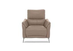 Daytona Leather Power Recliner Chair - Barley