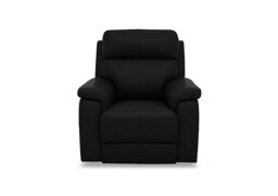 Raven Leather Chair