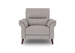 Winner Fabric Armchair - Dexter Stone
