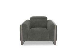 Gisella Fabric Power Recliner Chair with Power Headrest - Dexter Moss