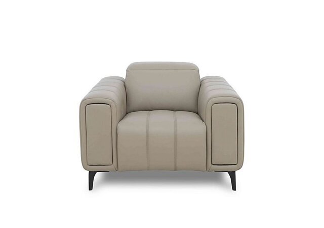 Elphaba Leather Chair with Storage Arms