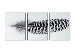 Striped Feather Glass Picture Set of 3
