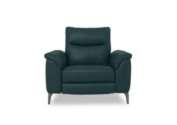 Morgan Leather Power Recliner Chair