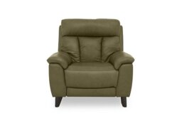 World of Leather - Dreamer Leather Power Recliner Armchair - Olive Green