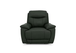 Sloane Leather Chair - Oslo Pine