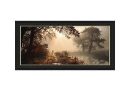 Afternoon Amber Framed Picture