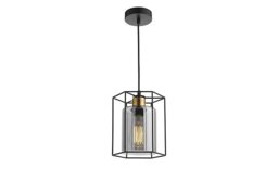Paxley 1 Light Pendant