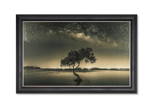 Sea Tree Vegas Framed Picture