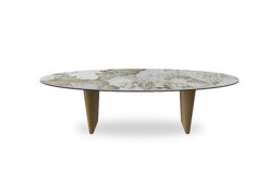 Akante - Felipe Coffee Table with Gold Legs