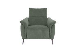 Jude Fabric Power Recliner Chair with Power Headrest and Power Lumbar - Dexter Fern