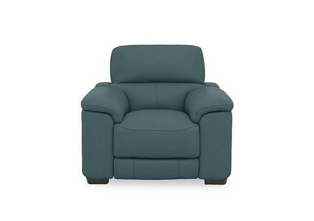 World of Leather - Nova Leather Chair - BV Lake Green