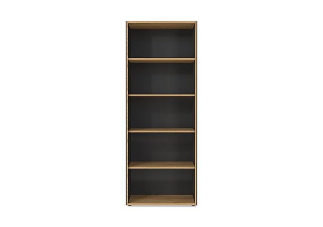 Aden Tall Wide Bookcase