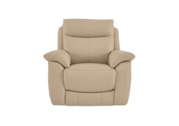 World of Leather - Echo Leather Power Recliner Chair