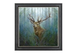 Red Deer Stag Framed Art