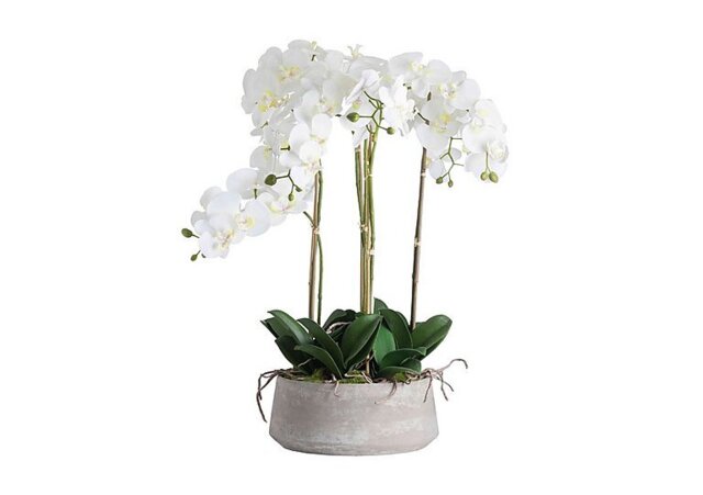 Large White Orchid Stone Pot - Home Accessories - In Time for Christmas