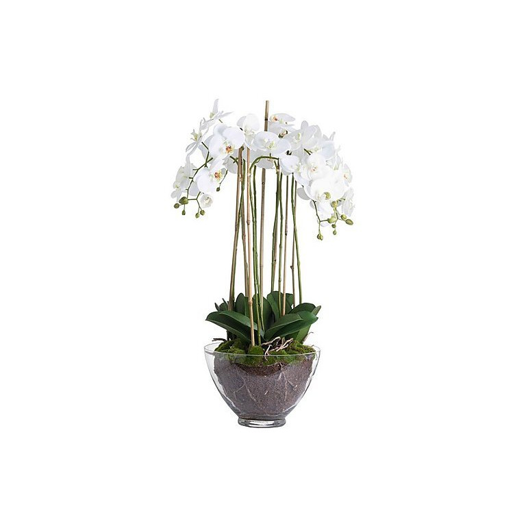 Large White Orchid Glass Pot