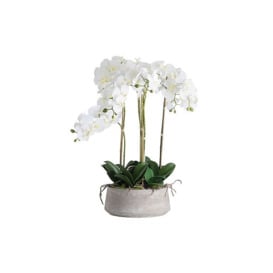 Large White Orchid Stone Pot