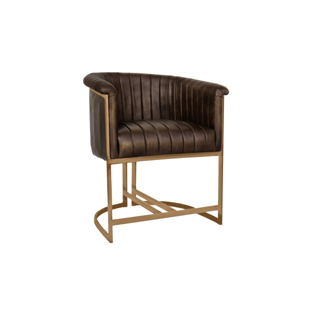 Leather Tub Chair in Brown with Gold Metal - Brown
