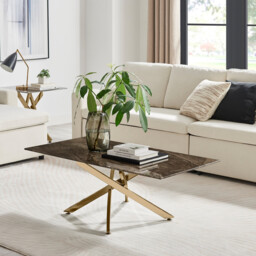 Leonardo Rectangle Brown/Grey Marble Glass & Gold Coffee Table - thumbnail 2