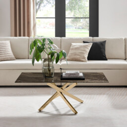 Leonardo Rectangle Brown/Grey Marble Glass & Gold Coffee Table - thumbnail 1