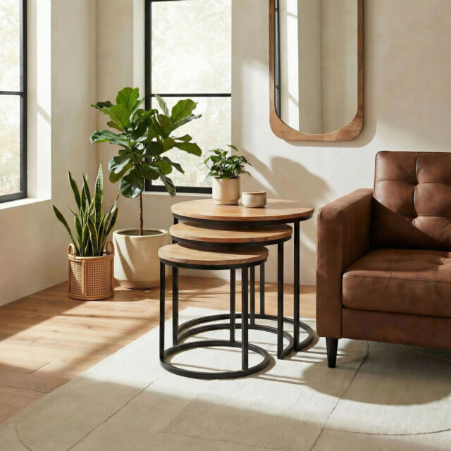 Andes Round Light Oak Wood Set of 3 Nesting Coffee Tables - image 1