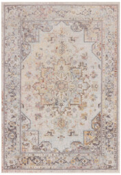 Parisa Cream Vintage Persian Inspired Medallion Rug - thumbnail 3