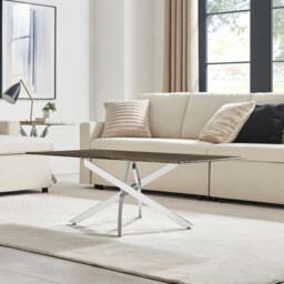 Leonardo Rectangle Brown/Grey Marble Glass & Silver Coffee Table - thumbnail 3