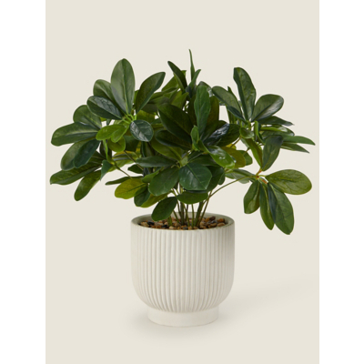 Artificial Umbrella Plant In White Ribbed Pot