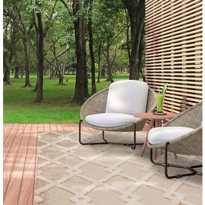 Asiatic Monty Indoor Outdoor Diamond Rug