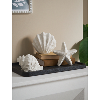 White Shell Ornament - Set of 3