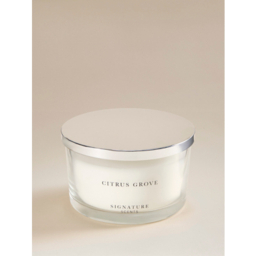 Signature Scents Citrus Grove Triplewick Candle