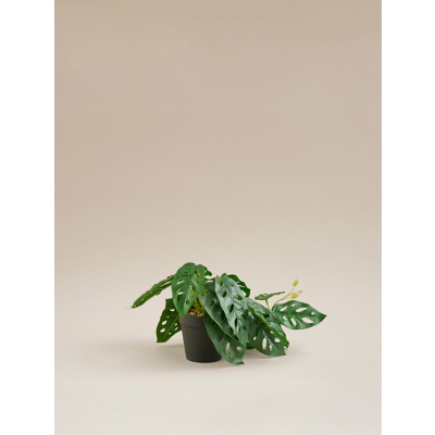 Green Plant Pot